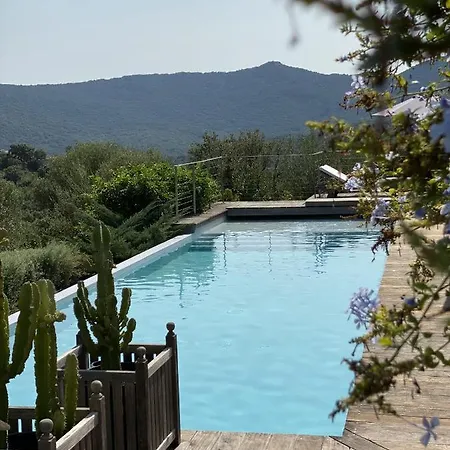 Magnifique Vue Mer Avec Piscine A Debordement Et Pool House Sainte-Lucie de Porto-Vecchio